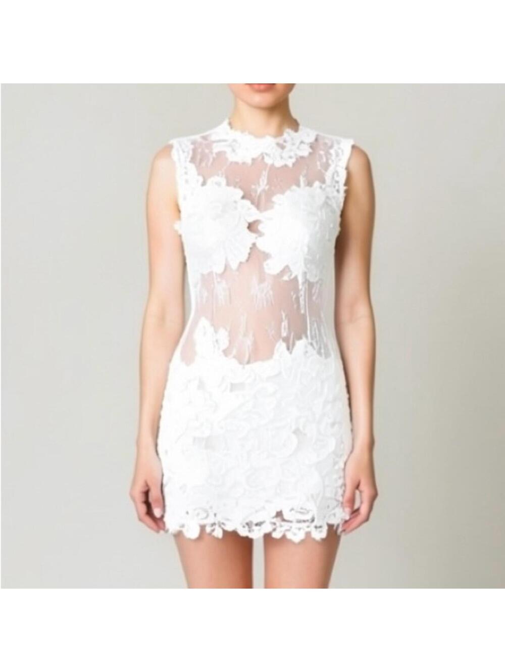 Issue New York White Lace Appliqué Sheer Mini Dress